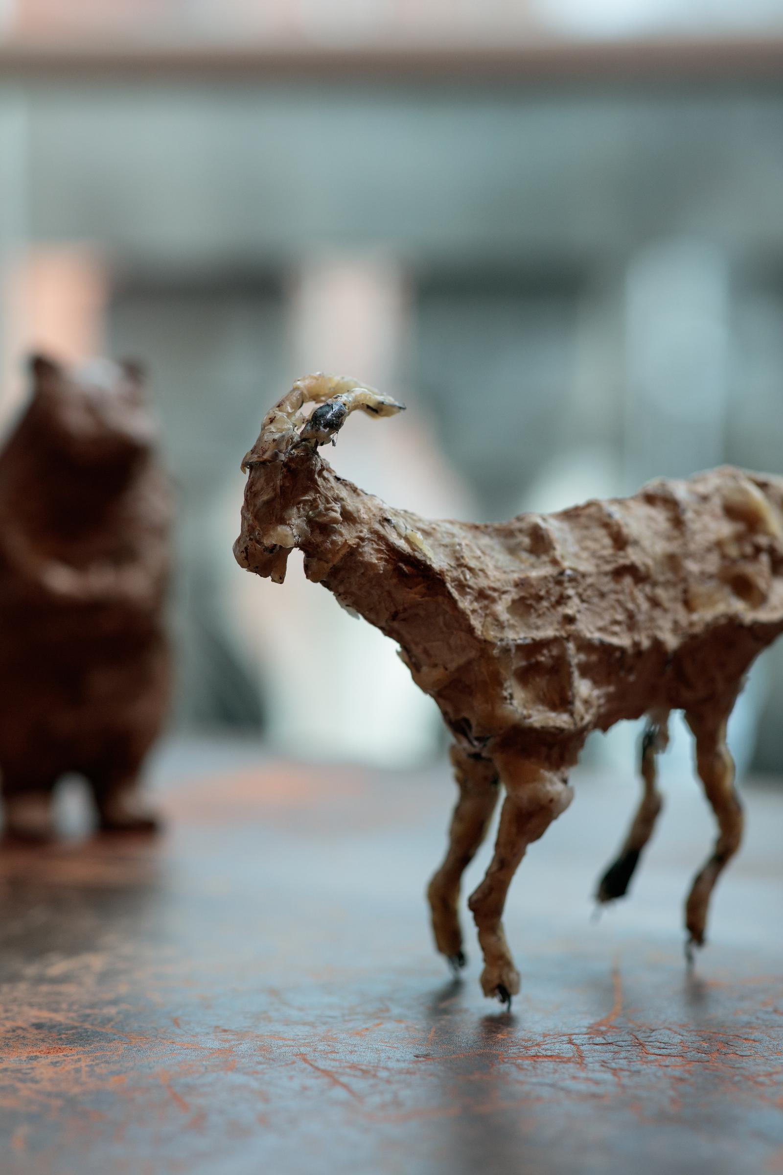 IE NGI/IA/BRO2/1/2